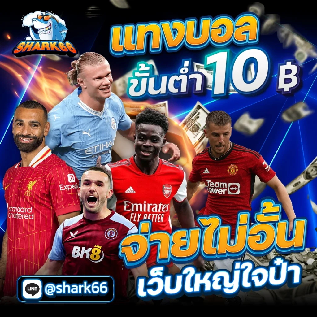 รับเงินทรูวอลเล็ต ฟรีวันนี้ ฝากถอนอัตโนมัติรวดเร็ว วางเดิมพันได้ทันใจ
