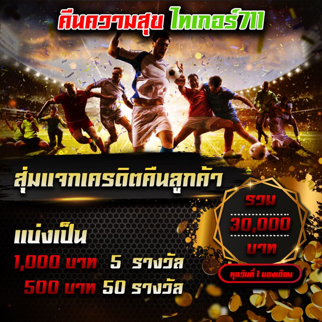เว็บ ไทเกอร์711 คาสิโนออนไลน์อันดับหนึ่ง พร้อมโปรโมชั่นโดนใจ 2024